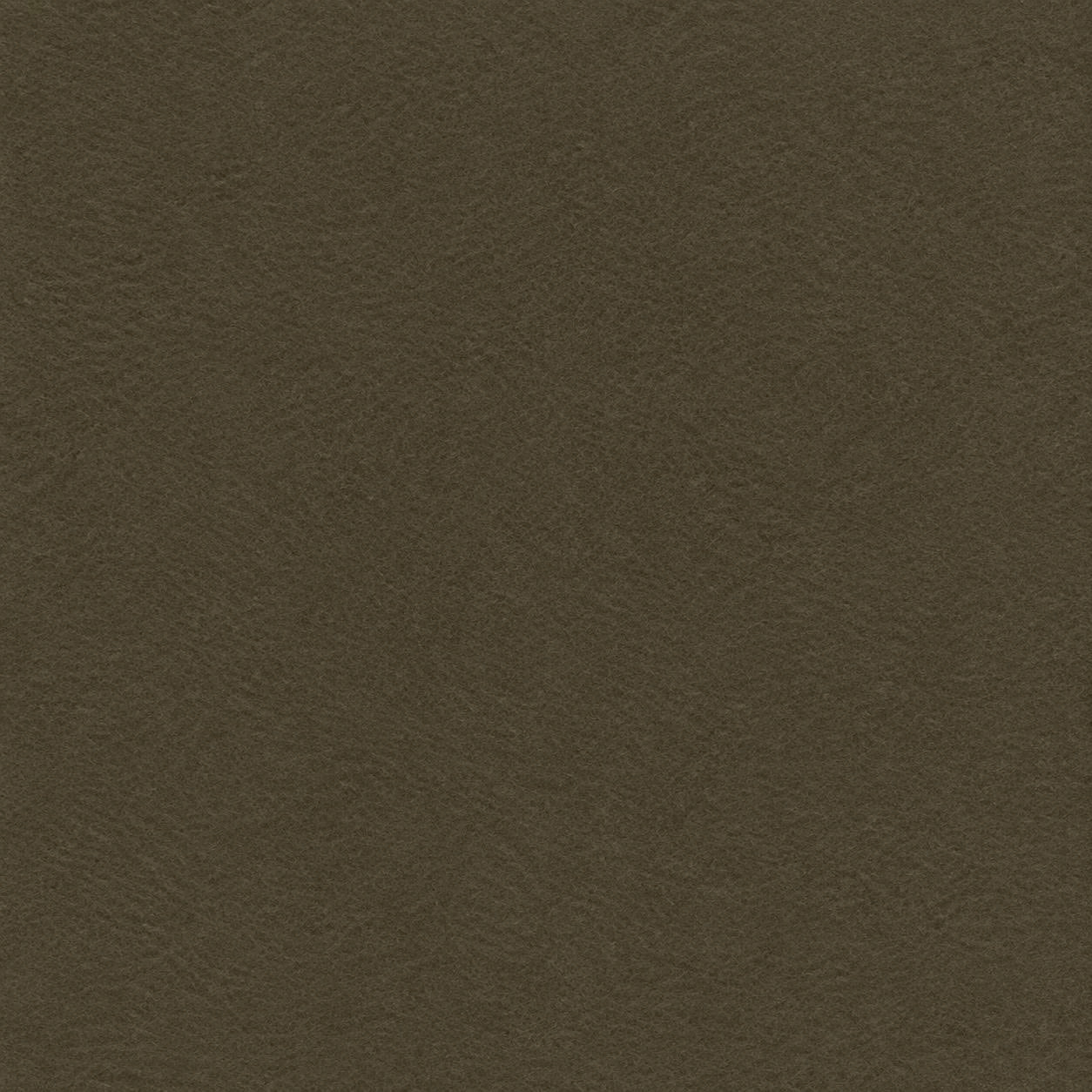 Olive Gray