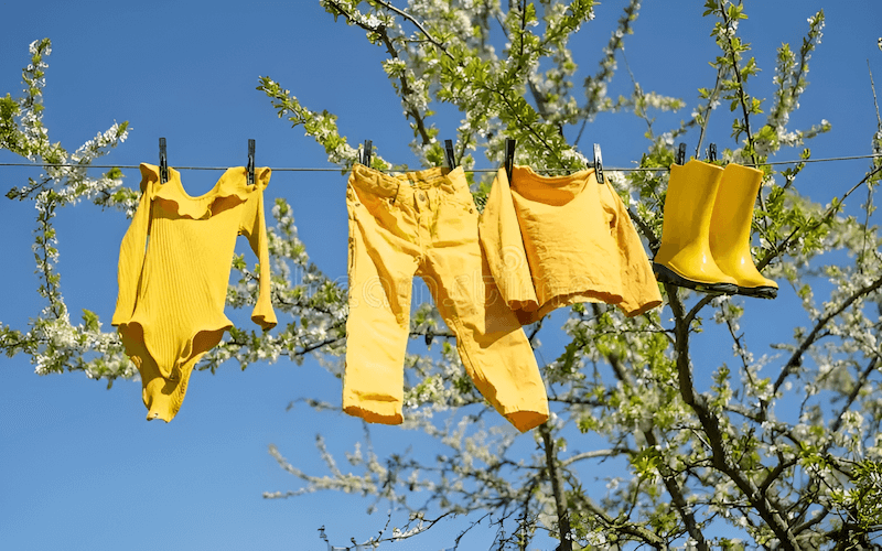 Clothespins are essential for securing clothes to the line, but they can leave marks if not used correctly