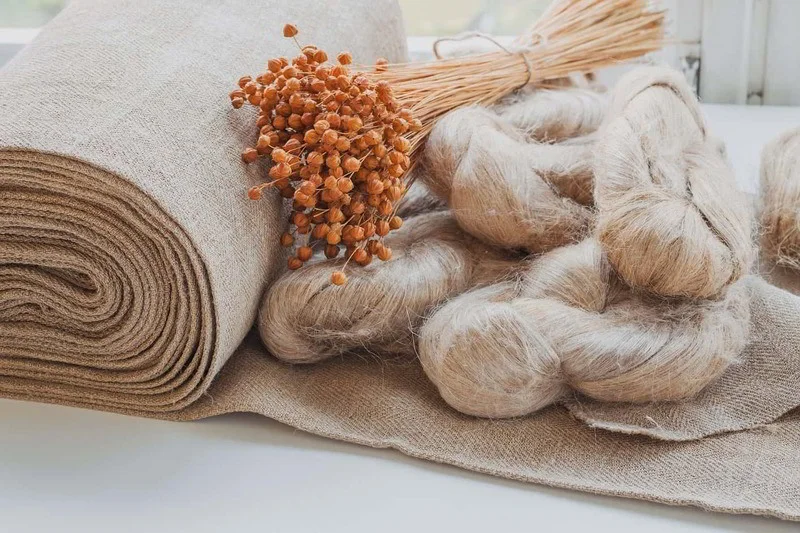 From flax plant to fiber: The making of linen.