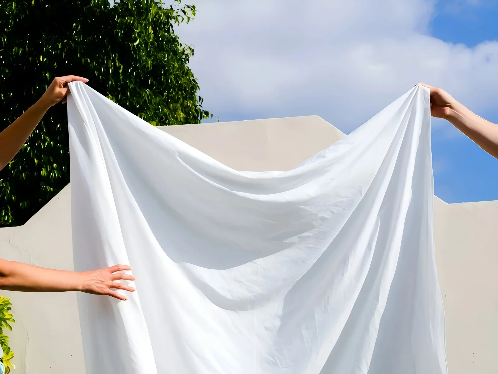 Wash calico before starting your project.